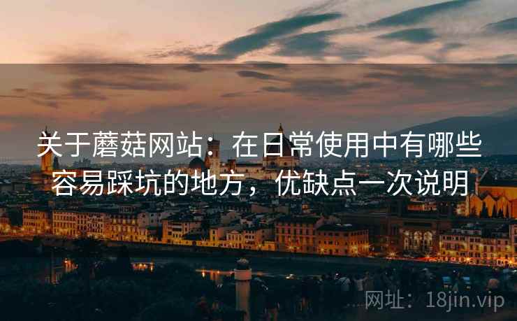 关于蘑菇网站：在日常使用中有哪些容易踩坑的地方，优缺点一次说明