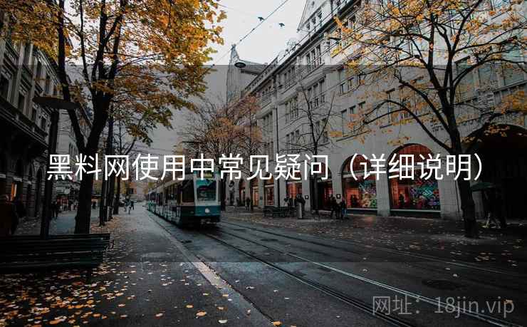 黑料网使用中常见疑问（详细说明）