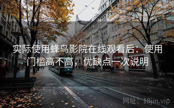 实际使用蜂鸟影院在线观看后：使用门槛高不高，优缺点一次说明