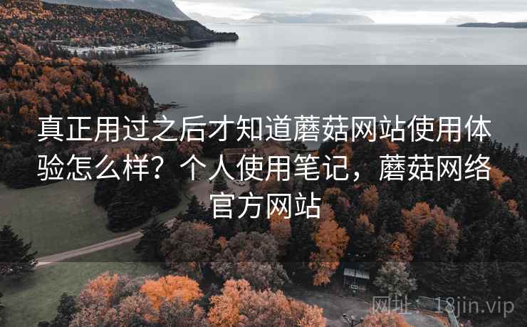 真正用过之后才知道蘑菇网站使用体验怎么样？个人使用笔记，蘑菇网络官方网站