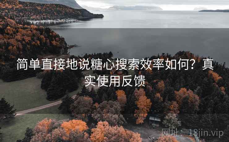 简单直接地说糖心搜索效率如何?真实使用反馈 简单直接地说糖心搜索效率如何?真实使用反馈