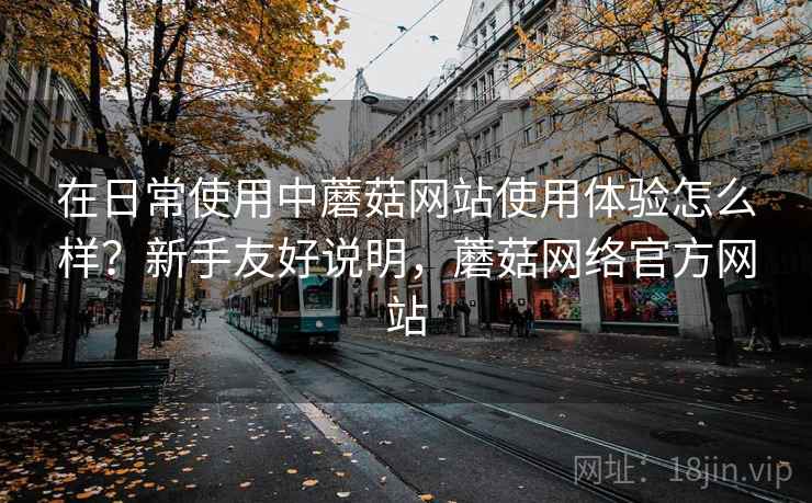 在日常使用中蘑菇网站使用体验怎么样？新手友好说明，蘑菇网络官方网站